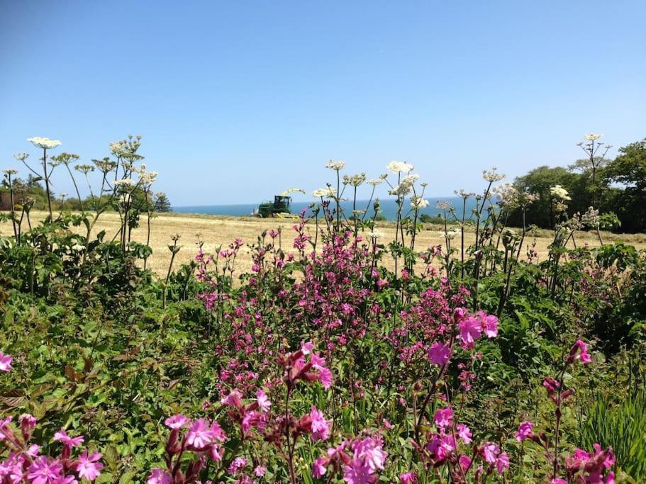 Little Bream - Pretty Cosy Cottage, Sea Views, Walk To The Beach Mawnan Smith Екстер'єр фото